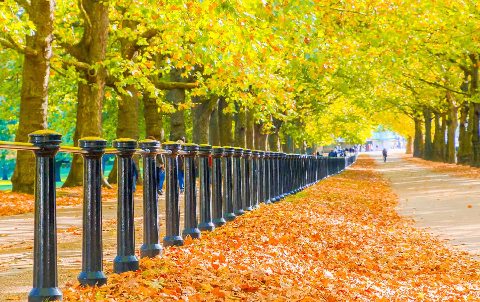 London’s Autumn Splendor - 35 Must-Visit Photography Locations