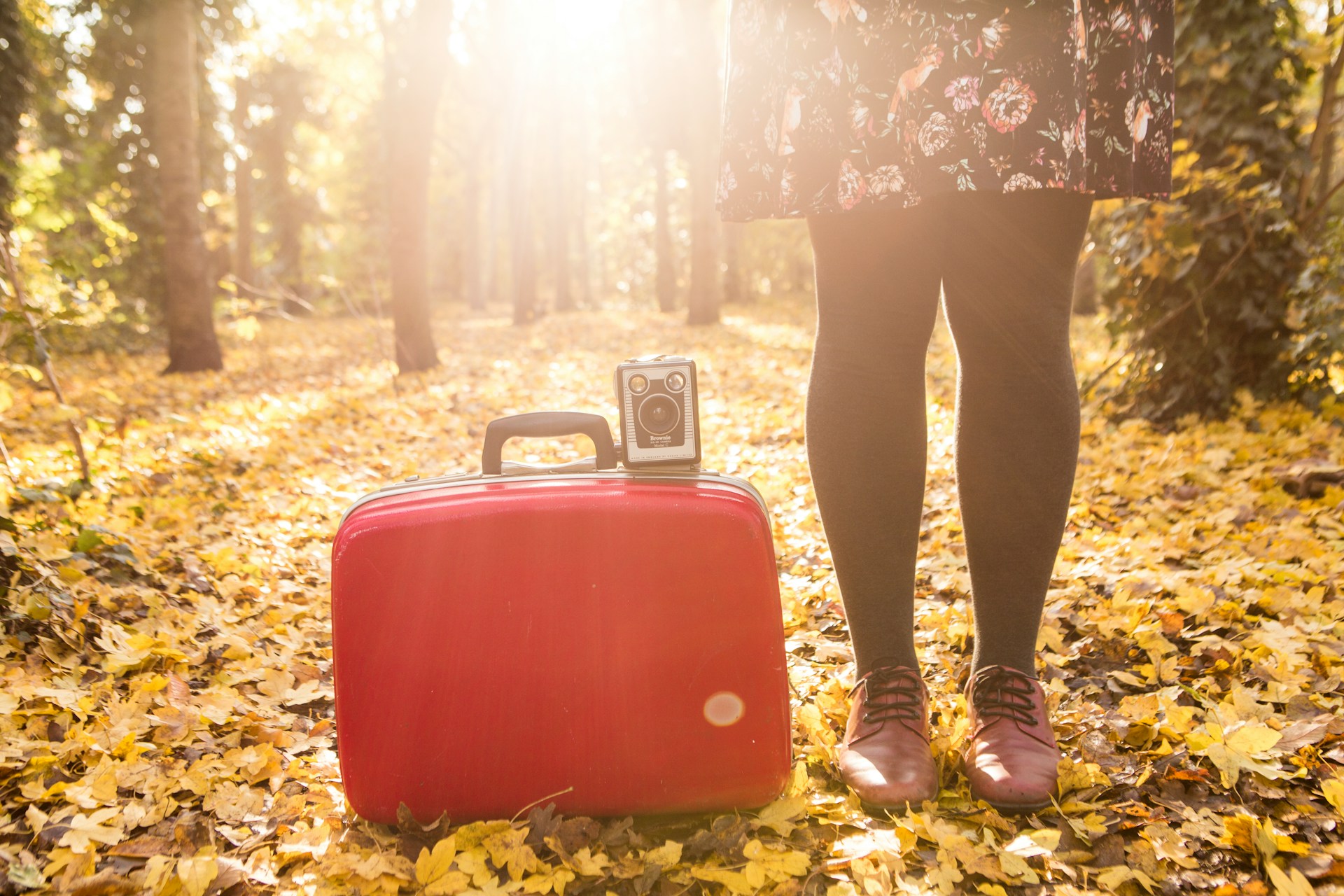 Woman standing in a sunlit autumn forest with a red suitcase and vintage camera